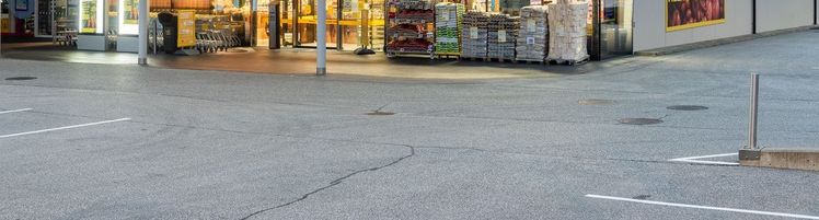 Pflanzenkenntnisse auffrischen und Hemmschwellen abbauen. Im WDA-Seminar „Mehr Pflanzenkunde im Betrieb“ tauchten die Teilnehmer tief in die Praxis ein. Bild: Willers/FGL S.-H.