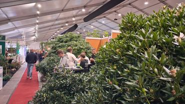 Impressionen von der GrootGroenPlus 2025. Bild: GABOT.