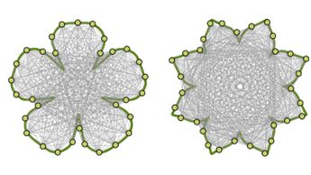 Darstellung von Sichtbarkeitsgraphen für verschiedene Blütenformen. Auf der Kontur (grün) sind Knoten in gleichmäßigen Abständen angeordnet, die über Kanten miteinander verbunden sind, wenn diese nicht die Kontur berühren oder schneiden. Bild: MPI.