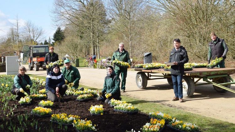 In diesen Tagen sind acht Gärtnerinnen und Gärtner der Fa. Garten- und Landschaftsbau Reuter dabei, die aktuelle Frühjahrsbepflanzung nach den Planungen  des Gärtnerischen Leiters Björn Ehsen vorzunehmen. Bild: Park der Gärten. In diesen Tagen sind acht Gärtnerinnen und Gärtner der Fa. Garten- und Landschaftsbau Reuter dabei, die aktuelle Frühjahrsbepflanzung nach den Planungen  des Gärtnerischen Leiters Björn Ehsen vorzunehmen. Bild: Park der Gärten.