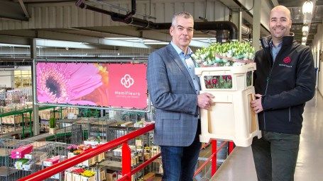 Royal FloraHolland: Erfolgreicher Start des effizienten Blumeneimers Fc588. Bild: Royal FloraHolland.