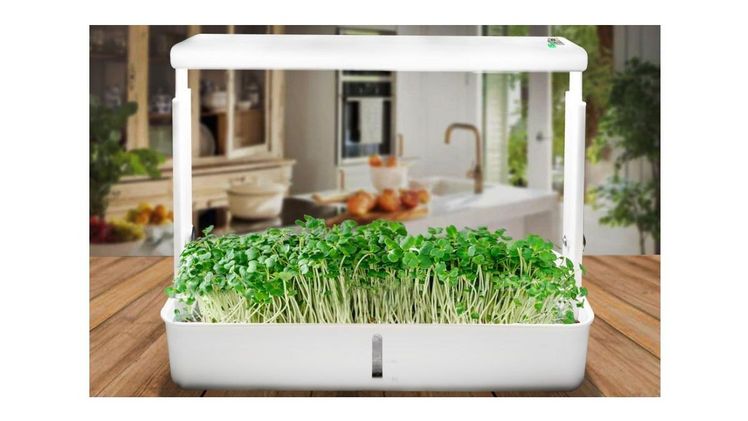 Die zu 100% biologisch abbaubaren Produkte von Turfquick machen das Anlegen eines Rasens, eines Blumenbeets oder anderer Pflanzen einfach, kostengünstig und umweltfreundlich. Bild: Turfquick.