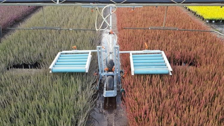 Der neue Topfwaschwagen HAWA, entwickelt von der Gärtnerei Klose. Bild: Klose/Derksen. 