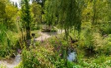Eine der entscheidenden Lösungen zur Verringerung von Hitze und Trockenheit in Städten sind lebendige Grünflächen. Wasser spielt in Form von Bächen, Tümpeln und Teichen eine wichtige Rolle für die Artenvielfalt. Bild: floriade.com/Wouter Koppen. 