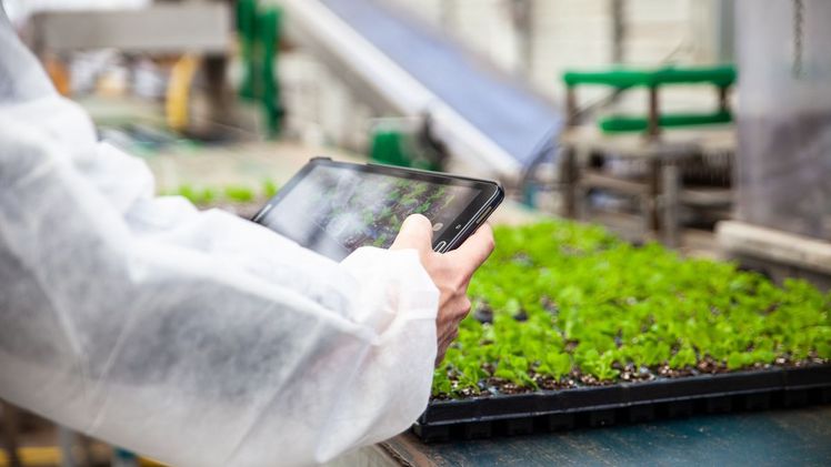 Agriware ist besonders breit aufgestellt und unterstützt alle Aspekte der gärtnerischen Produktion. Bild: Mprise Agriware.