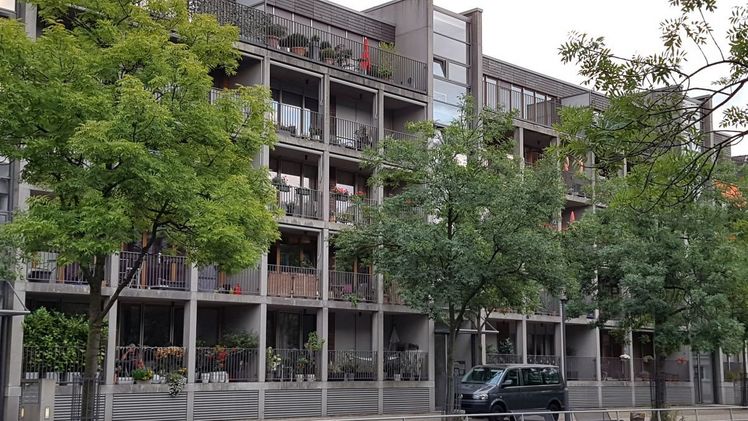 Die Grünen interessieren sich für den Erhalt und den Ausbau von Straßenbäumen. Bild: GABOT.