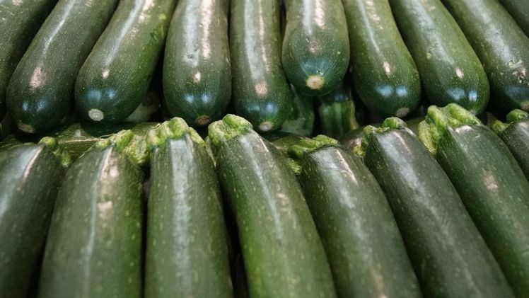 Schweizer Zucchetti haben von Mai bis Oktober Saison. Bild: GABOT.