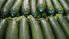 Schweizer Zucchetti haben von Mai bis Oktober Saison. Bild: GABOT.