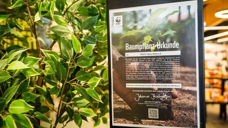 Die große Baumpflanzaktion überzeugt: EDEKA Weiss in Friedberg-Stätzling erhält "Auszeichnung für verantwortungsvolles Handeln 2025". Bild: © Martin Kämper / WWF.