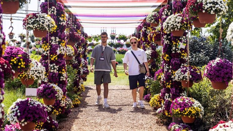 Anmeldungen für die FlowerTrials® 2023 ab sofort möglich. Bild: FlowerTrials®. 