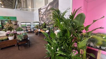 Impressionen vom IPM Discovery Center 2026. Bild: GABOT.