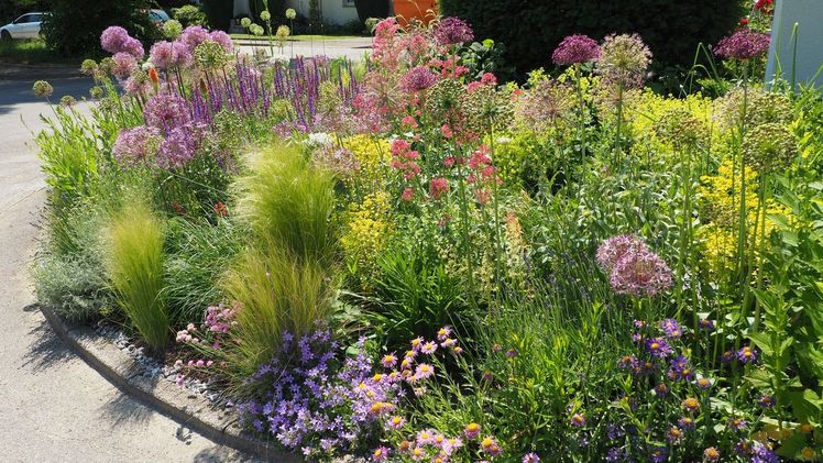 Jetzt mitmachen beim Fotowettbewerb „Rettet den Vorgarten“ und Gartengutscheine im Wert von 1000 Euro gewinnen. Bild: VGL NRW.