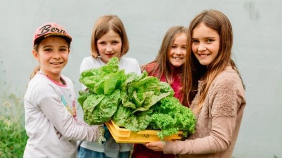 ALDI SUISSE ist neuer Hauptpartner der GemüseAckerdemie. Bild: © ALDI SUISSE.