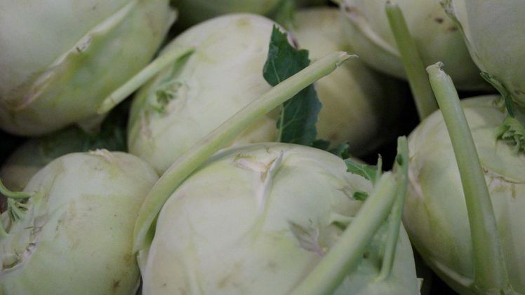 Gezielte Glucosinolat-Umwandlung bei Kohlrabi untersucht. Bild: GABOT.