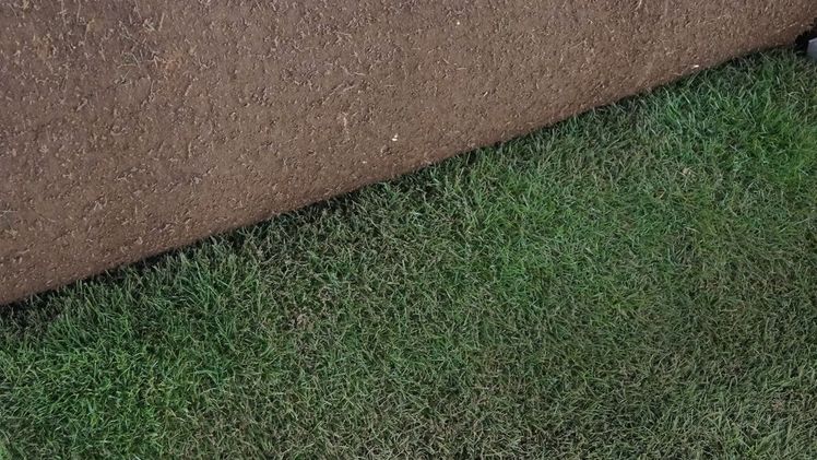 Mixto ist eine Hybridtechnologie, die das Ergebnis einer Symbiose zwischen Natur- und Kunstrasen ist. Bild: GABOT.