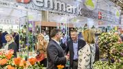 Der Blick zeigt die Halle 5 auf der IPM. Bild: MESSE ESSEN.