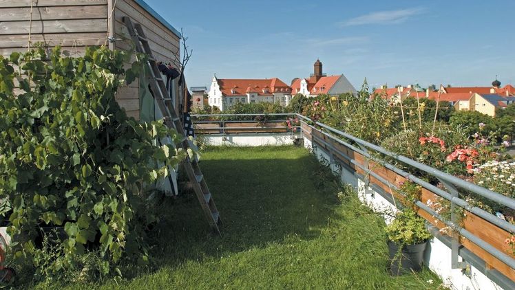 BU Erholungsoase Dachgarten. Bild: © Zinco GmbH.