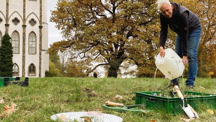 Thomas Dürbye, Technischer Leiter der Dahlemer Saatgutbank bei der Ansiedlung bedrohter Arten auf der Pfaueninsel. Bild: S. Treu / © Botanischer Garten Berlin. 
