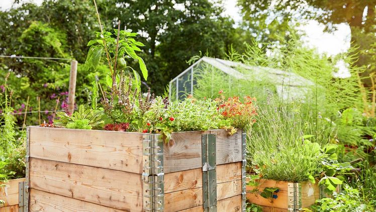 Ein natürliches Grundstoffsortiment aus Brennnessel, Lecithin und Essig. Bild: COMPO.
