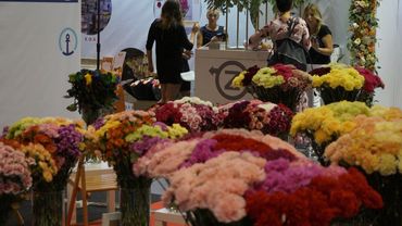 Nelken haben ist Osteuropa immer noch eine besondere Bedeutung. Bild: GABOT.