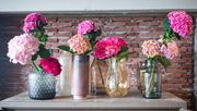 Die Kraft der Schnitthortensie liegt in ihrer Vielseitigkeit: Volumen, Farbintensität und eine ausgeprägte Form. Bild: Hydrangea World.