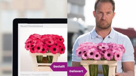Zuverlässige Produktfotos sind heutzutage für den erfolgreichen Verkauf von Blumen von entscheidender Bedeutung. Bild: Royal FloraHolland.