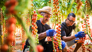 GreenTech Americas wird vom 24. bis 26. März 2020 auf den 25. bis 27. August 2020 verlegt. Bild: GreenTech Americas.
