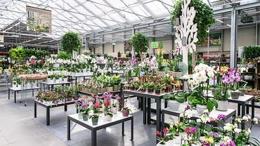 Impressionen des Dehner Garten-Centers im Aischpark. Foto: Peter Herzig. 