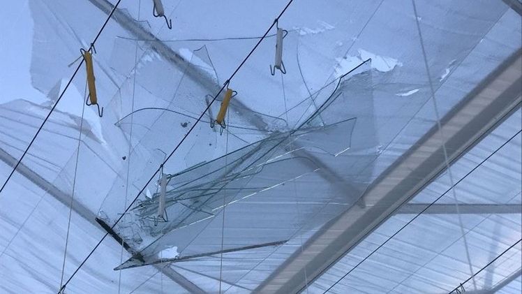 Im Gewächshausbau gingen 375 Meldungen über zerbrochene Scheiben, Schäden an der Technik und an den Kulturen ein. Bild: Interpolis.