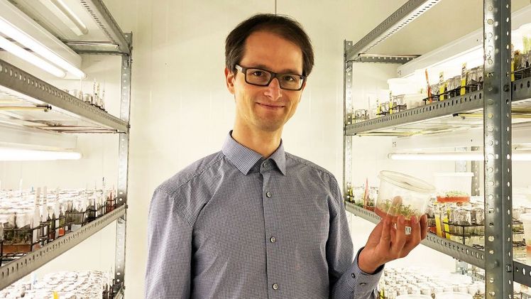 Dr. Dominic Eberle, Laborleiter von biotec. Bild: Elsner pac®. Dr. Dominic Eberle, Laborleiter von biotec. Bild: Elsner pac®.