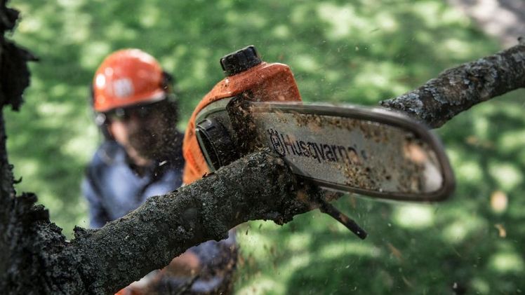 Der neue neuen Akku-Hochentaster 115iPT4. Bild: Husqvarna.