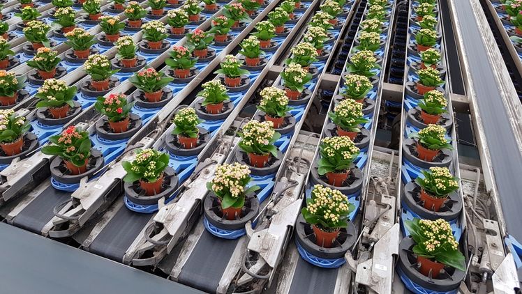 Moderne Technik, nachhaltige Anbaumethoden und digitale Prozesse eröffnen neue Perspektiven. Bild: GABOT.