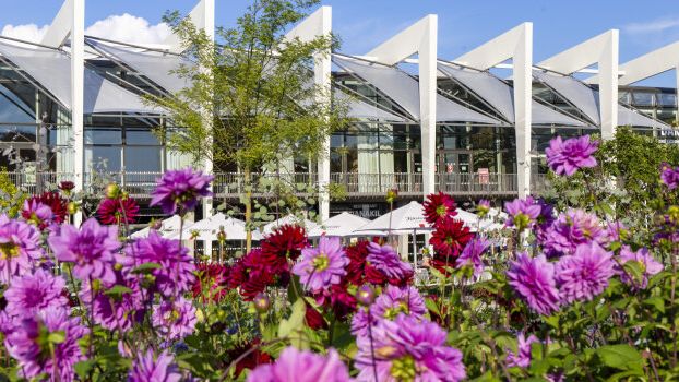 Der Zugang zum Danakil ist ab dem Frühjahr im Eintrittspreis inbegriffen. Bild: © Stadtverwaltung Erfurt. 