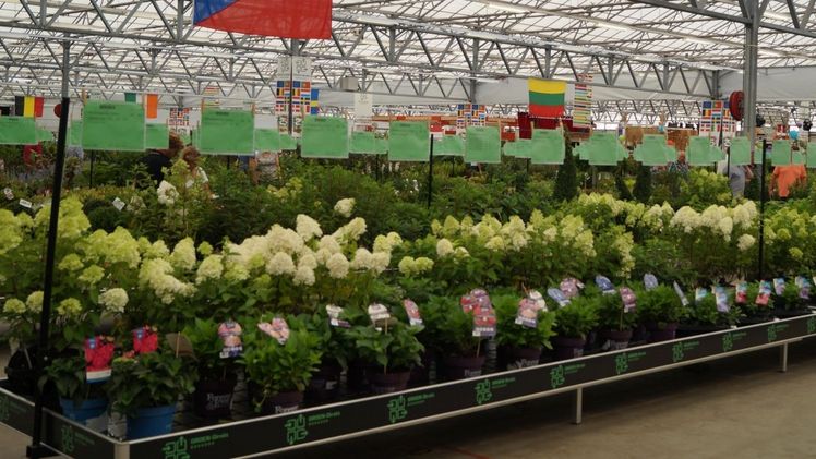 GROEN-Direkt verzeichnete zwei erfolgreiche und lebhafte Messetage. Bild: GABOT.