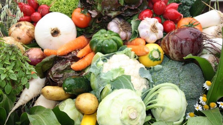 Beste heimische Qualität - dennoch verkauft der Handel billige ausländische Ware . Bild: BBV.