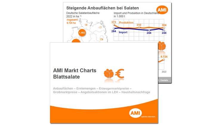 AMI Markt Charts Blattsalate 2023. Bild: AMI.