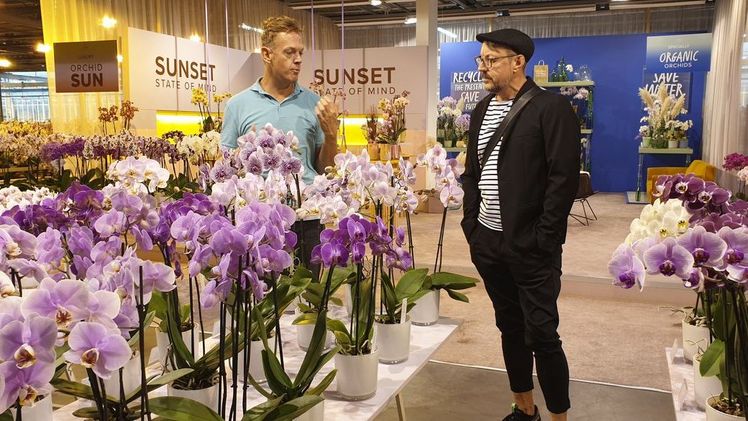 Manfred Hoffmann bei Sion. Bild: FDF.