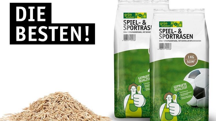 Der „Spiel-& Sportrasen“ der Eigenmarke grün erleben ist im „Marktcheck“-Test ganz vorne dabei. Bild: Sagaflor.