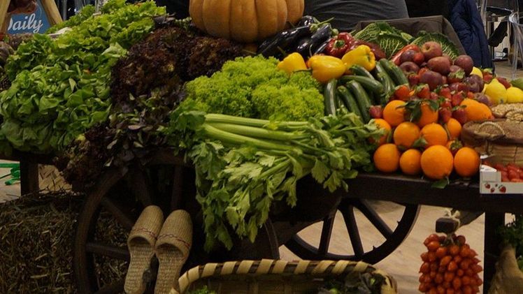 25% Bio-Betriebe in der Schweiz bis 2025. Bild: GABOT.