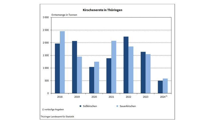 Kirschernte in Thüringen. Bild: TLS.
