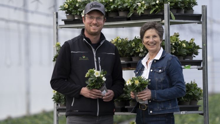 Marc Peters (Cox-Peters GbR) und Anke Schirocki (Agrobusiness Niederrhein) präsentieren Helleborus (Christrosen), eine der Hauptkulturen der Cox-Peters GbR. Bild: Agrobusiness Niederrhein.
