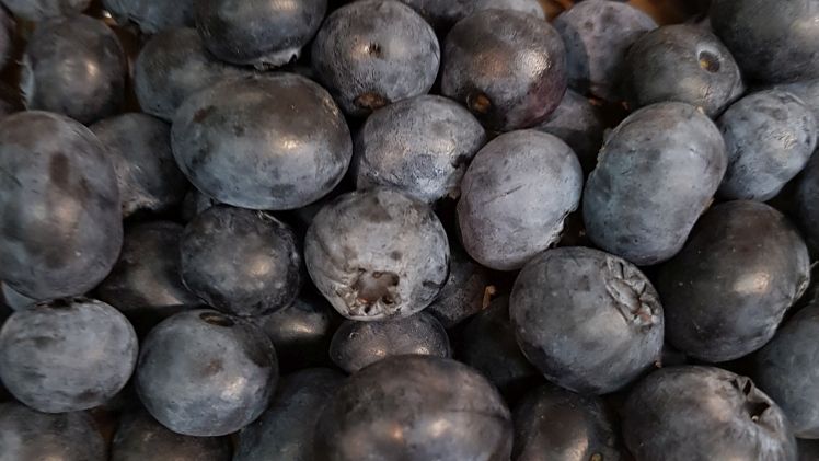 62 Proben verschiedener Beeren wurden auf Wirkstoffrückstände untersucht. Bild: GABOT.
