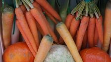 Einladung zum Seminartag "Marktgärtnerei und Direktvermarktung" am 22.09.2026 der Öko-Akademie. Bild: GABOT.