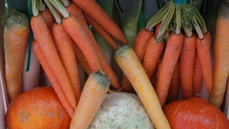 "Die Aktionstage sind eine schöne Werbung für den Ökolandbau in Niedersachsen". Bild: GABOT.