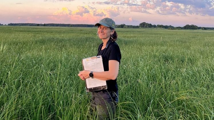 Zwölf Zentimeter klein und nur zwölf Gramm schwer: Der Seggenrohrsänger kommt allein in Mooren vor – und hat die wissenschaftliche Arbeit von Dr. Franziska Tanneberger geprägt. Tanneberger erhält – zusammen mit Dipl.-Ing. Thomas Speidel – am 27. Oktober in Mainz den diesjährigen Deutschen Umweltpreis der Deutschen Bundesstiftung Umwelt (DBU). Bild: © Privat.