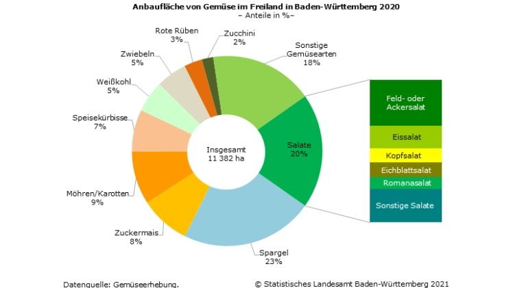 Anbaufläche von Gemüse im Freiland in Baden-Württemberg 2020. Bild: Statistisches Landesamt Baden‑Württemberg.