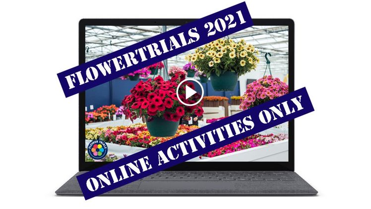 Vorstand und Sekretariat wollen an einer digitalen Alternative arbeiten, um der Branche die neuesten Topf- und Beetpflanzen in der 24. Kalenderwoche vorzustellen. Bild: FlowerTrials.