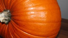 Es gibt 1000 gute Gründe, Kürbis im September neu zu entdecken. Bild: GABOT.