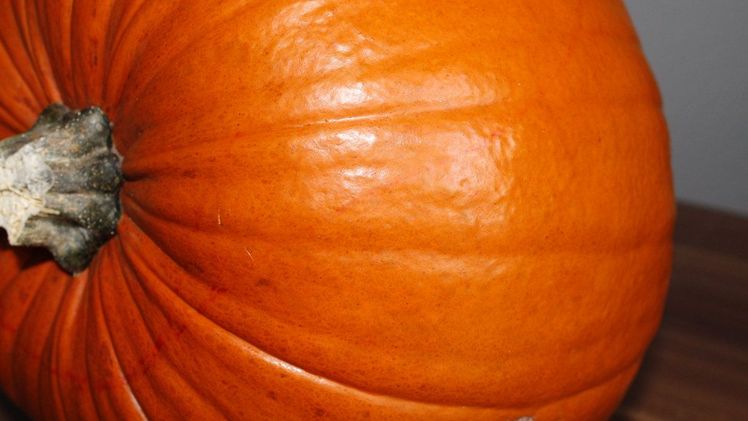 Die Gesamterntemenge betrug im letzten Jahr in Sachsen-Anhalt 638,5 t. Bild: GABOT.