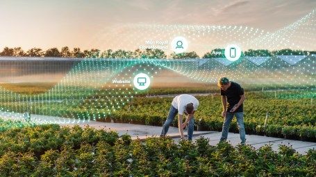 Go-live der neu gestalteten Online-Kanäle von Royal FloraHolland. Bild: Royal FloraHolland. 